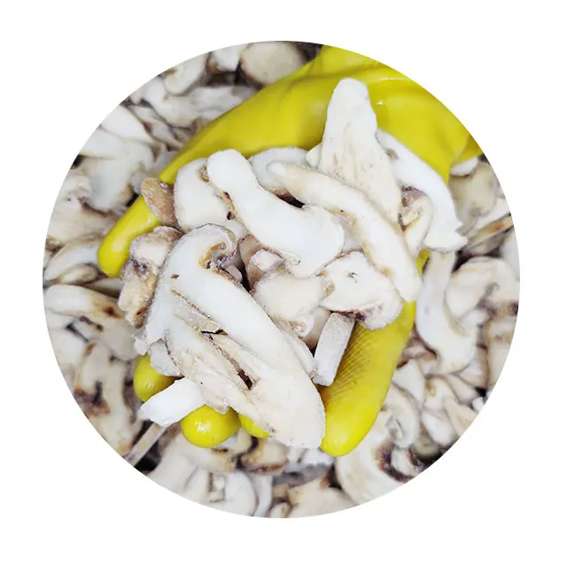 Professional Factory Bulk Culture Edible Mushrooms Real Leather Mushroom Tricholoma Matsutake
