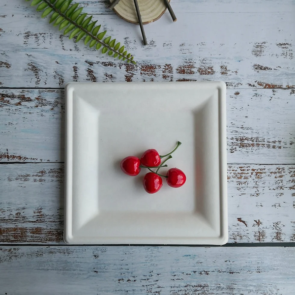 Disposable Paper Square Plates Biodegradable Square Dinner Plates White 10 Inch 6 Inch 8Inch Square Plate Bagasses Paper Pulp