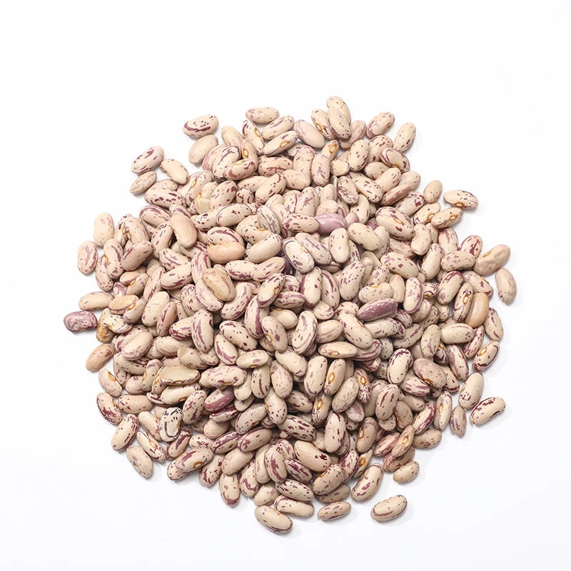Cheapest Price Light Speckled Kidney Bean New Crop LSKB