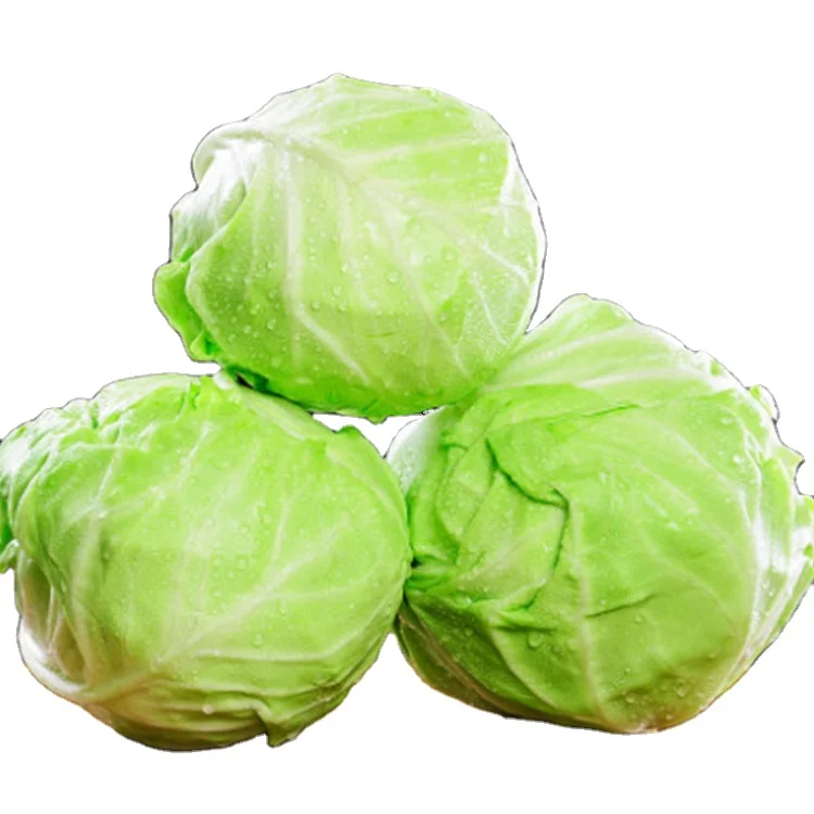 
Competitive price 2020 green fresh cabbage ball organic cabbage 