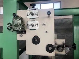 High quality waterproof mango growing protection paper bag