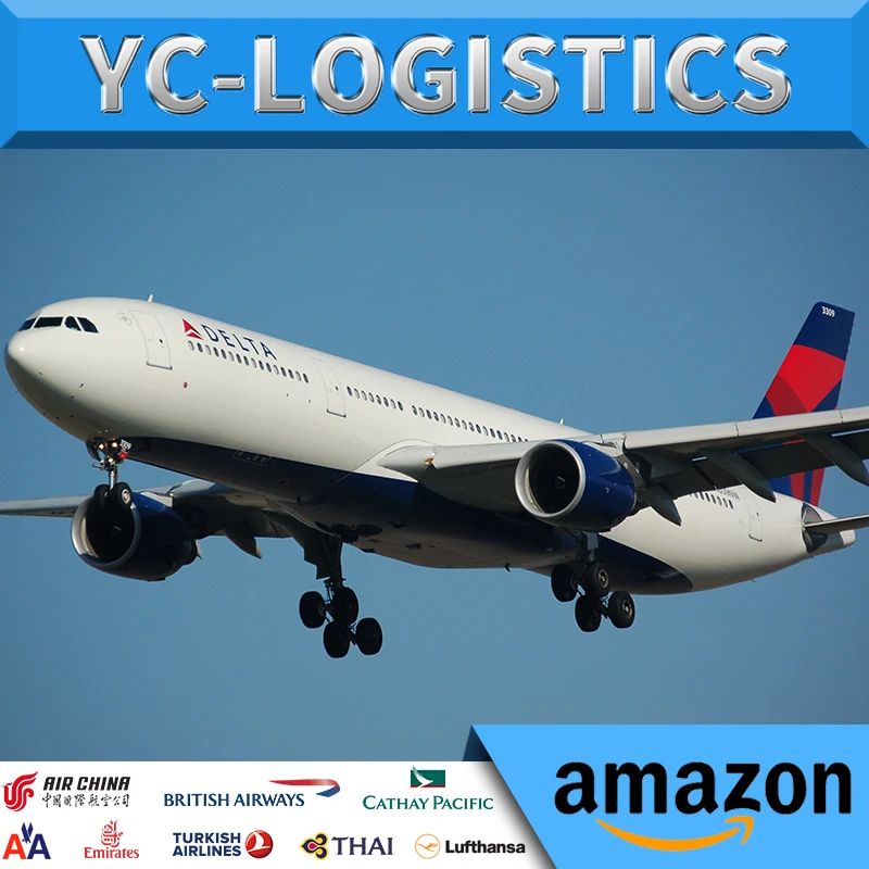  Экспресс-обслуживание от двери до авиаперевозка из Китая в Индию FCL/LCL