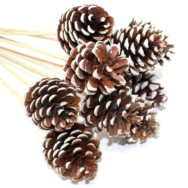 High Quality Pinecones for Wedding Party Event Decoration Customized 40cm Natural Home Decorative Item Packaged in Bags