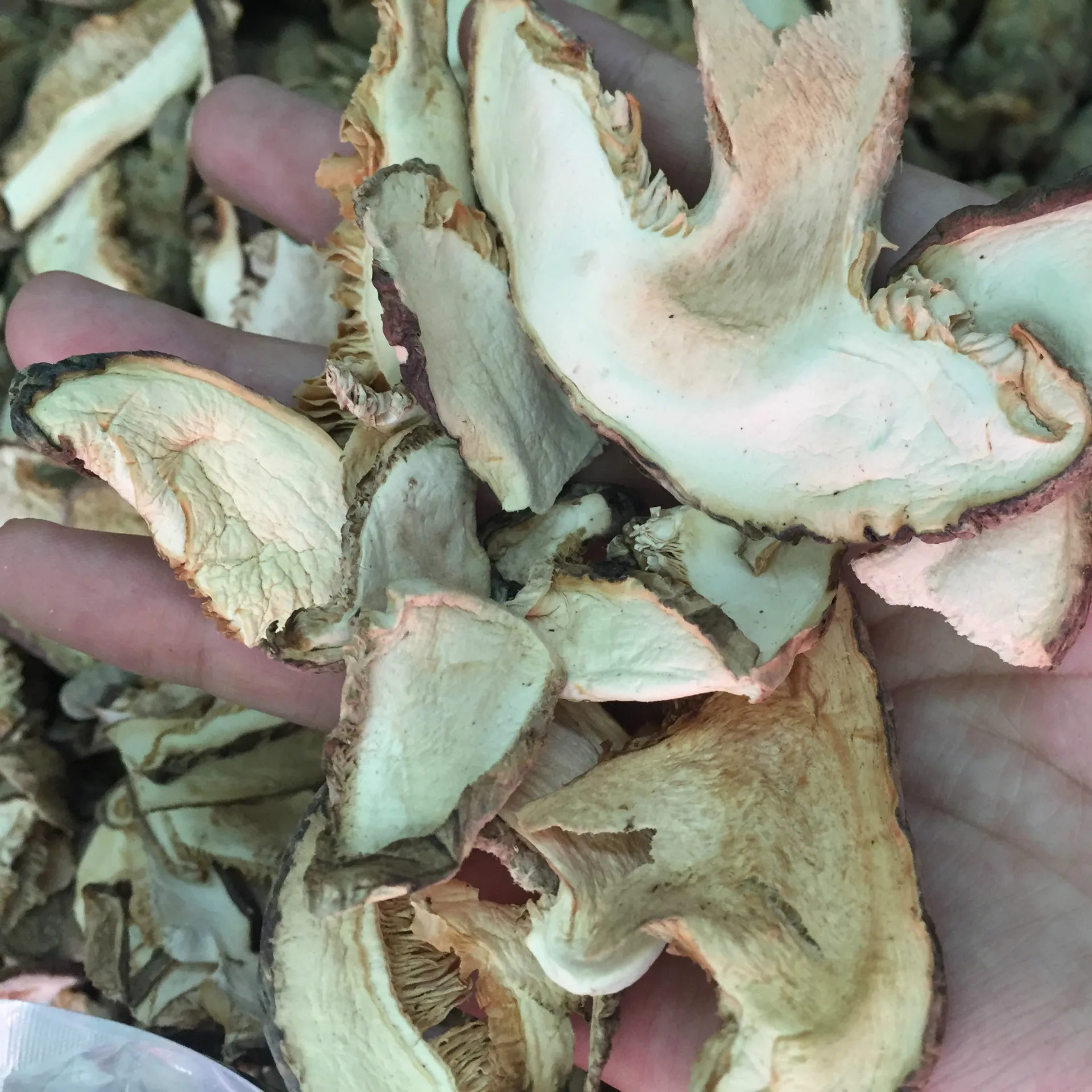 
Hot sale Sing Organic Mushrooms Food Dried Fungus Tricholoma Matsutake 