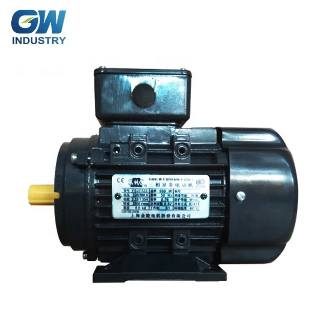 High Efficiency GW NEMA 3420rpm 460v 3 phase ac electric motor