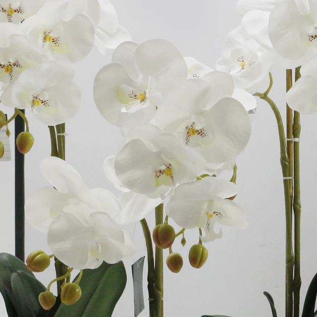 Fabric butterfly flower artificial orchid high simulation orchid white flower with ceramic pot