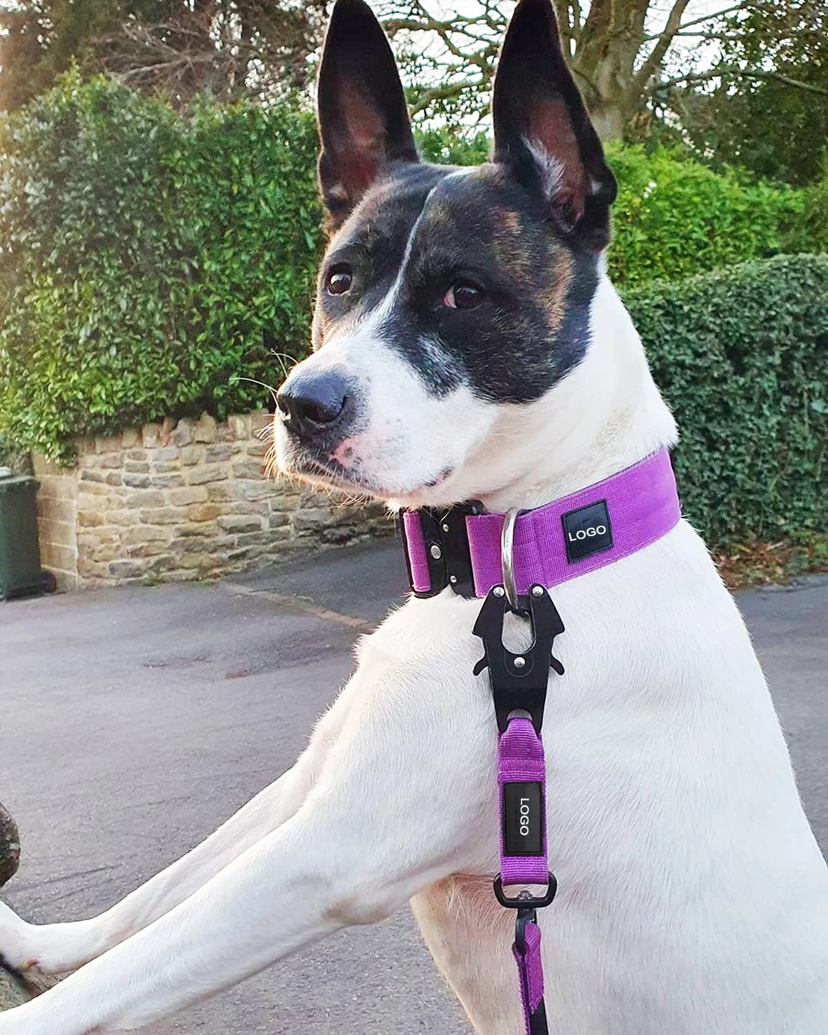 Tactical Nylon Pet Dog Leash With Durable Buckle And Clip,For Large Medium Dogs Training Running