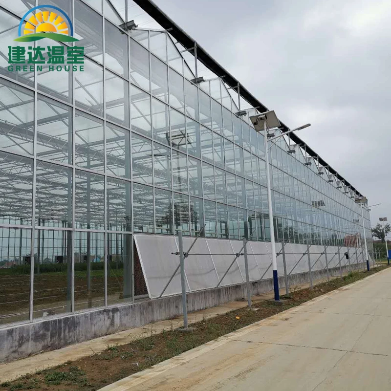 multi-span class Greenhouse restaurant green house frame with Heating and insulation system