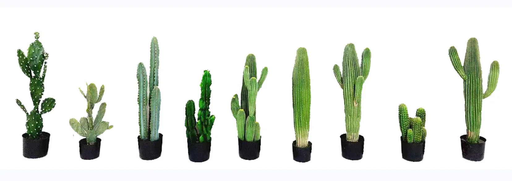 Hot Selling Cheap Indoor Tropical Plants Small Potted Desert Plant Bonsai Artificial Succulent Cactus