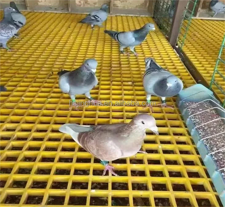 pigeon grate 38x38x25mm fibreglass sheet FRP Grating floor grills for racing pigeon lofts