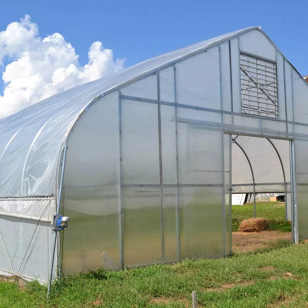 Commercial Plastic Film Tunnel Greenhouse Galvanized Agriculture Transparent Greenhouse Tunnel Garden Greenhouse
