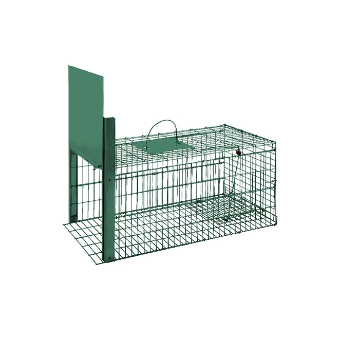 Modern Foldable Capture Painted Green Products Sale Cat Cages Design For Rabbits