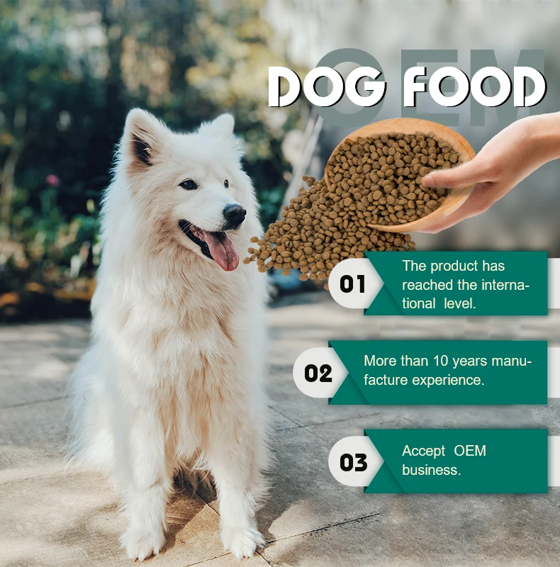 OEM ODM китайская низкая цена корм для домашних животных различные ароматы разные формы 18% содержание белка взрослых собак сухой