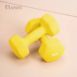 China Factory Price Weights Gym Equipment Fitness Dumbbells Set