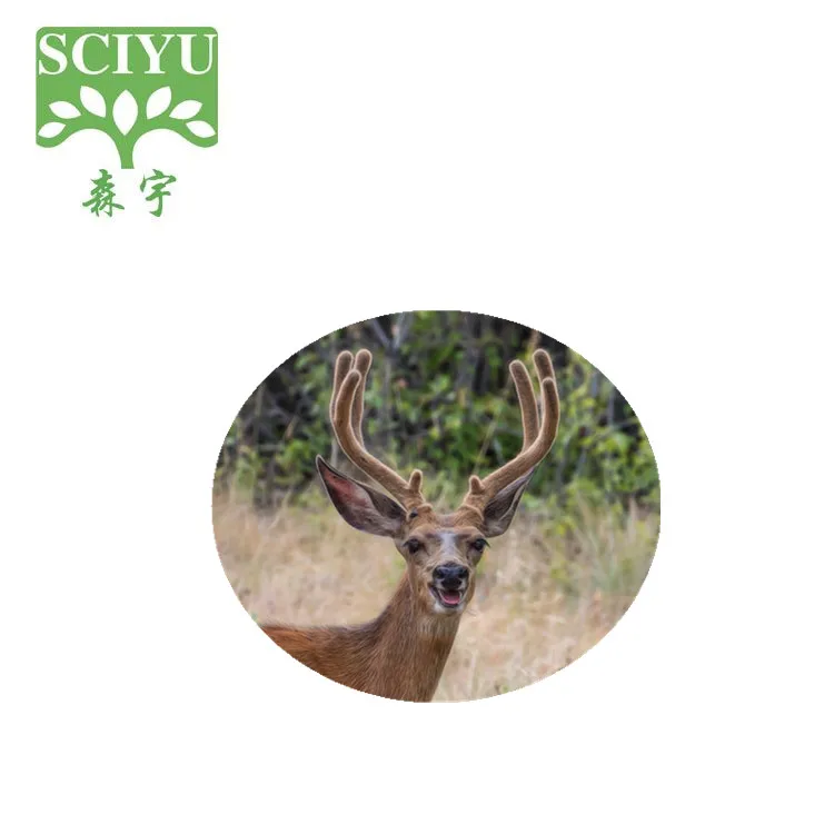 
Sciyu supply water soluble deer velvet antler extract powder 5:1,10:1 