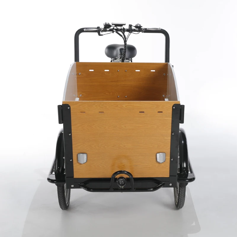 250W motor Electric Cargo Bike Dog Care Cargo Bike 3 Wheel Family Adult Bicycle Tricycle with front loading box