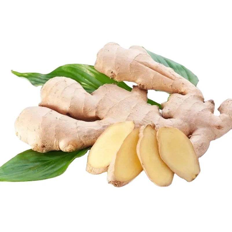 fresh organic ginger supplier