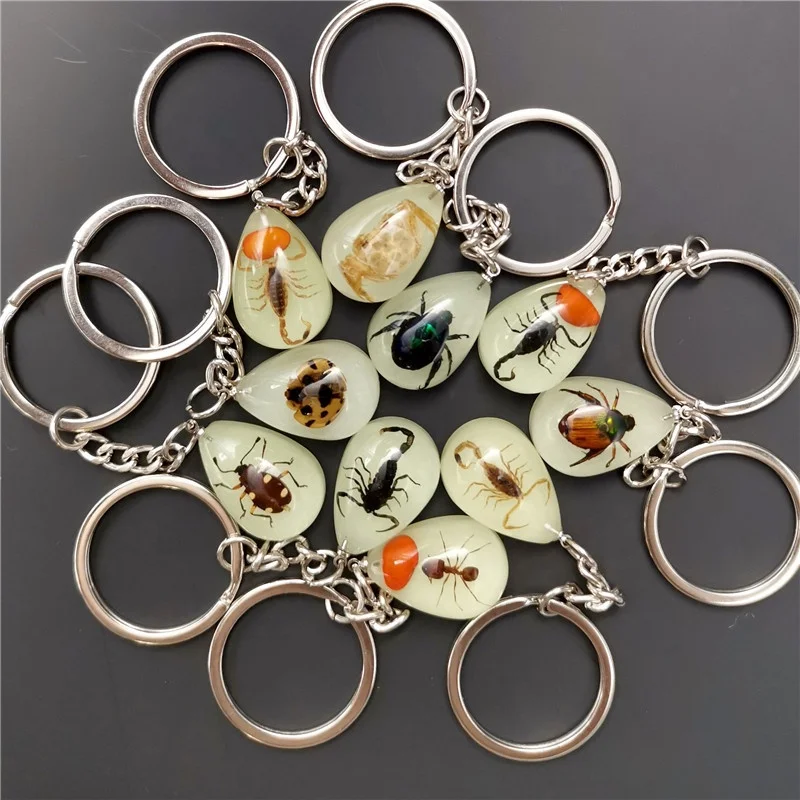 small size fancy Luminous natural resin key ring with insects