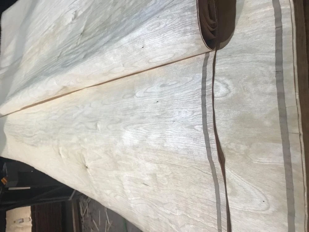 Rotary cut BIRCH  veneer from manufacture