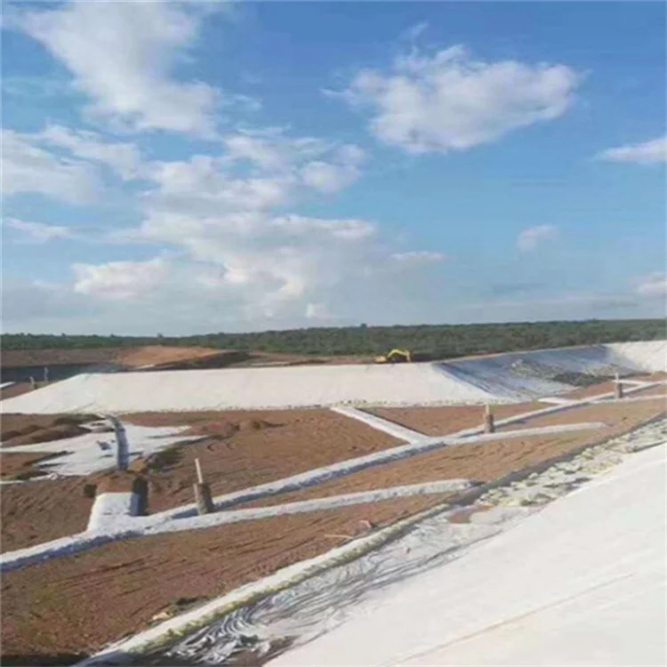 High Strength Woven Geotextile 250g 300g 350g 400g oven Geotextile for Road Construction