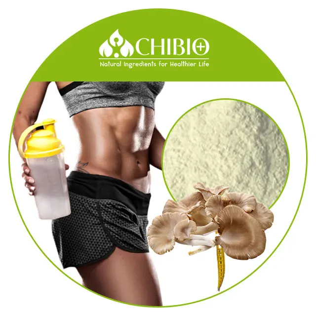 High Density non-allergenic Aspergillus Niger Chitosan Powder for long-term stable weight