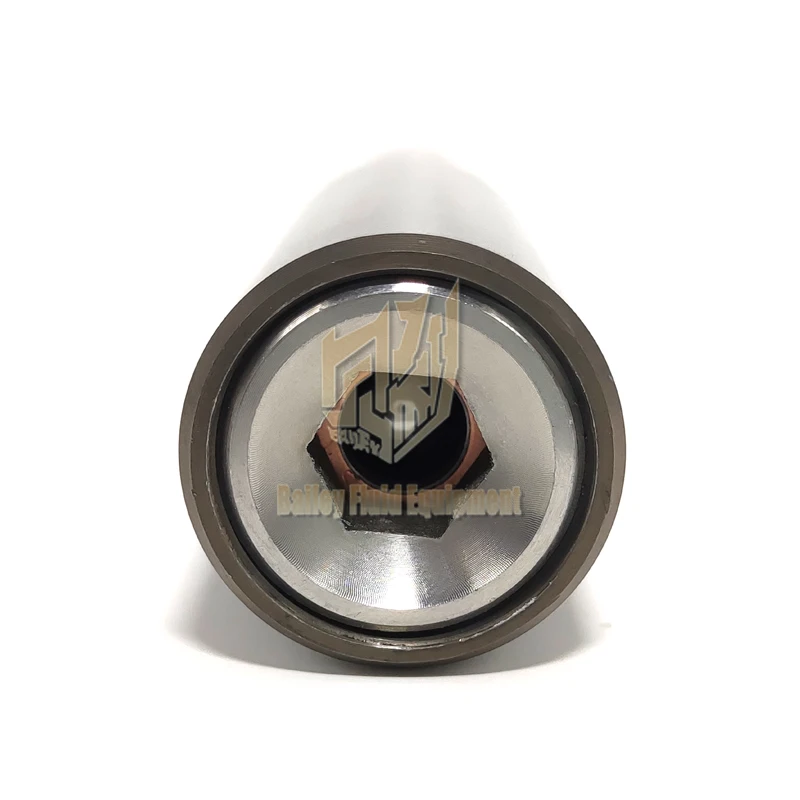 2024 High pressure airless sprayer pump spare parts Plunger rod piston rod  Kolben for WAG PS3.29 PS3.31 0290 251