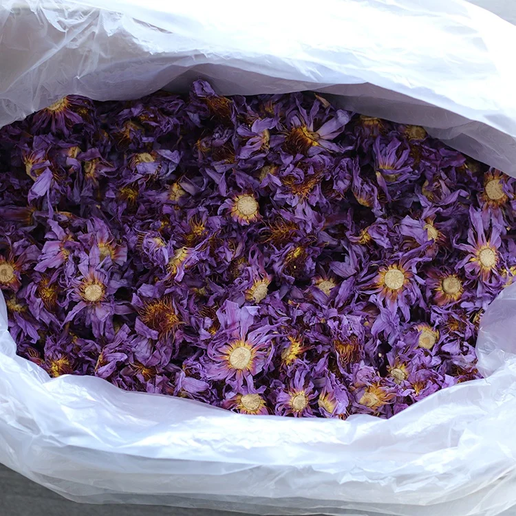 Factory Price Hot Sale China Wild Dried Blue Lotus For Tea