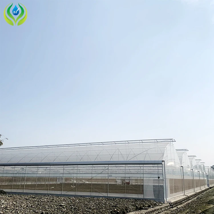 MYXL outdoor greenhouse farming vegetable metal frame green house plastic agriculture commercial