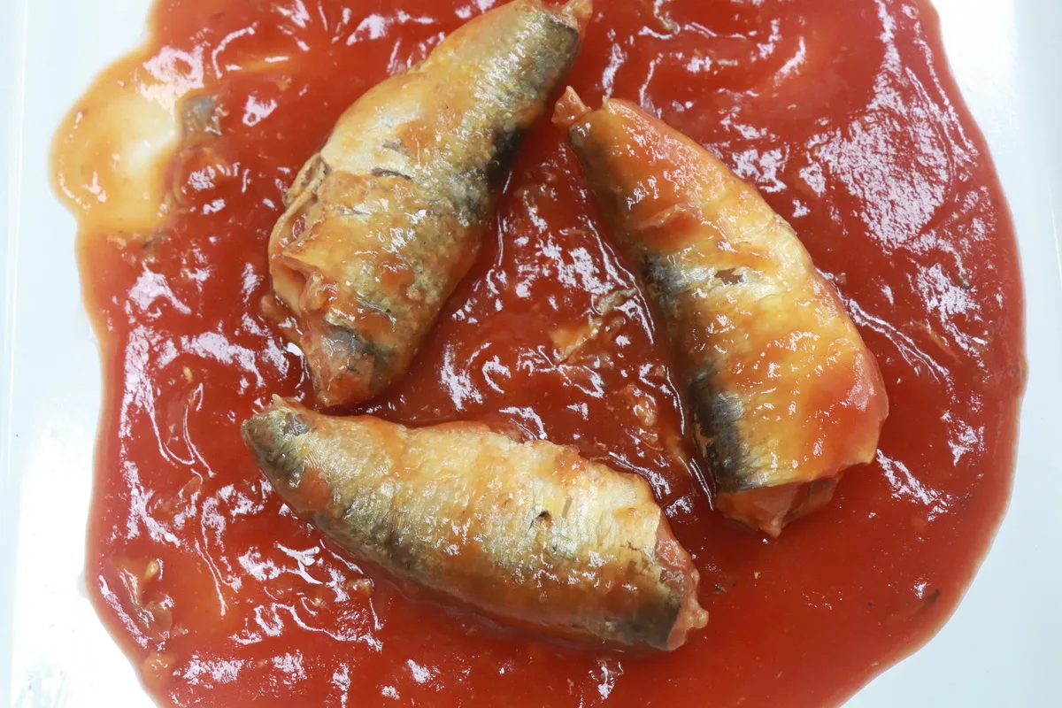 Factory price canned sardine in tomato sauce/Fish canned sardines