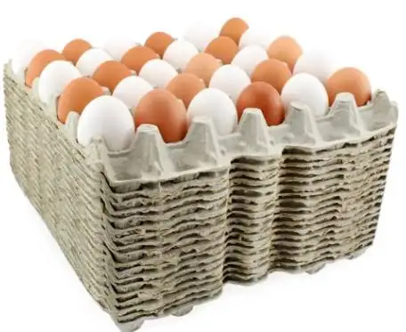 Customized Paper Pulp Cardboard Egg Trays 30 12 6 Holes Shipping Carton Egg Holder Quail Ostrich Egg Packaging Tray