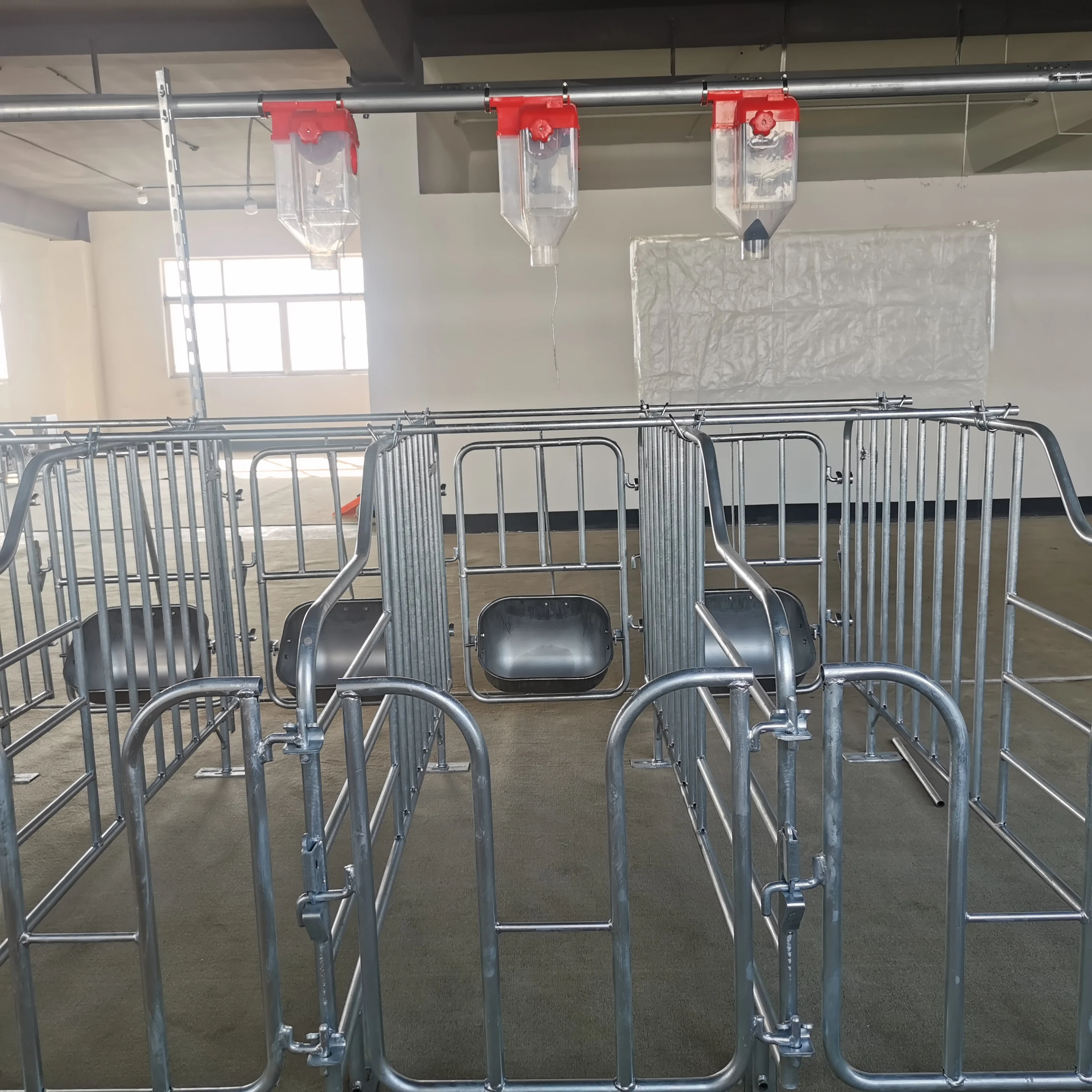 Pig House Farming Equipment Galvanized Sow Gestation Cage / Gestation Pen / Gestation Crate pig barn