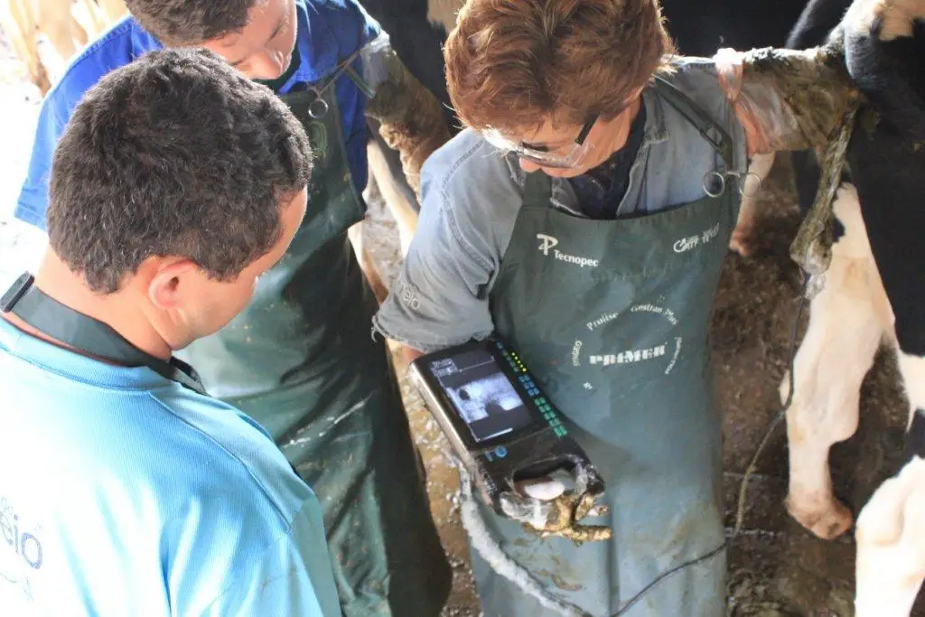 YSB3000V veterinary digital palmsmart ultrasound scanner portable ultrasound machine convex and linear transverginal