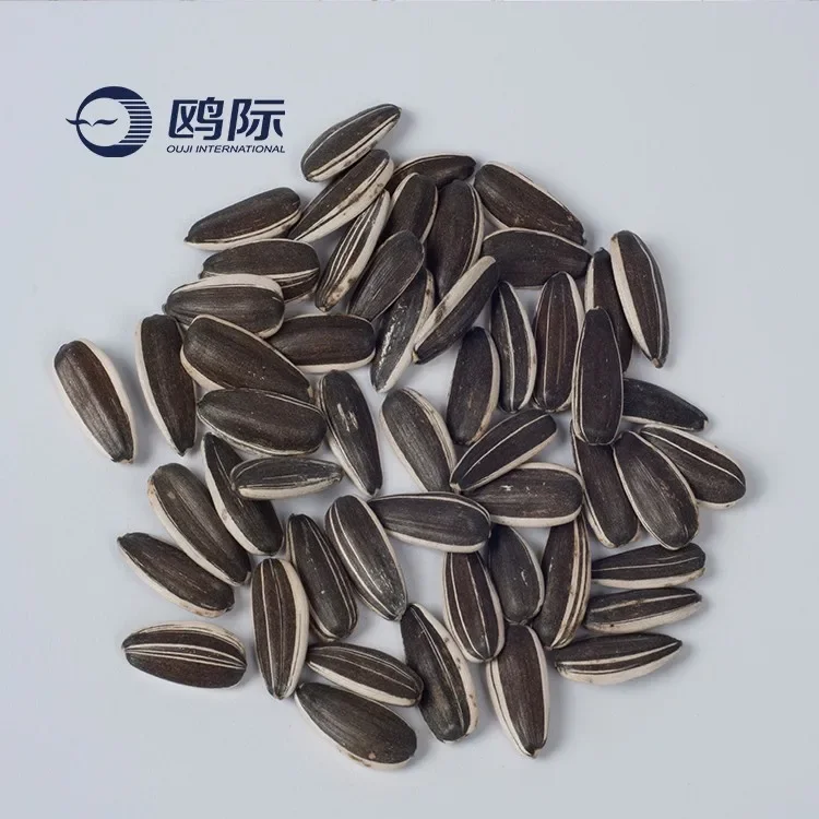 Delicious bulk sunflower seeds high quality organic hot sell delicious all kinds of sunflower seeds