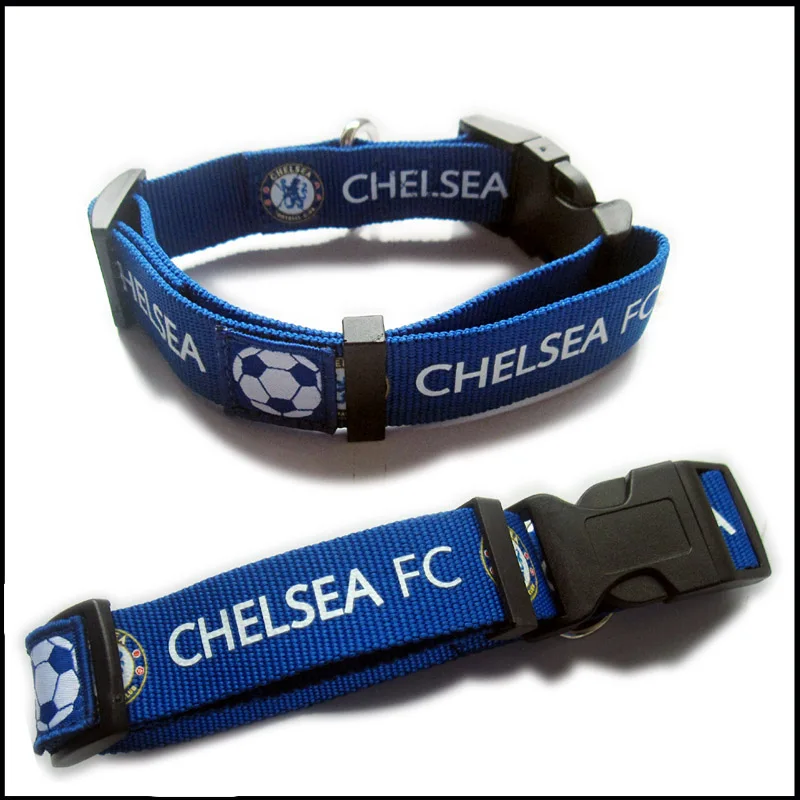 Custom Logo Print Adjustable Size Smart Teddy Dog Collar And Leashes Set