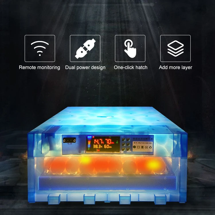 Best Quality Widely Applicable Small Capacity DC Hatching Automatic Eggs Incubator