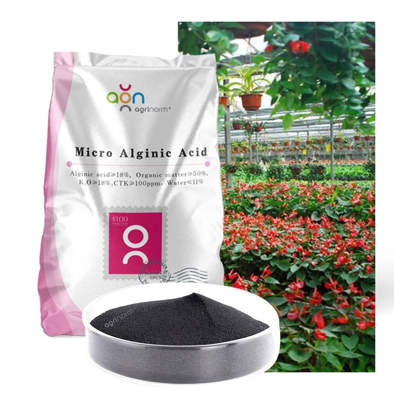 Seaweed powder fertilizer kelp agro fertilizer 100% water soluble ascophyllum nodosum seaweed extract