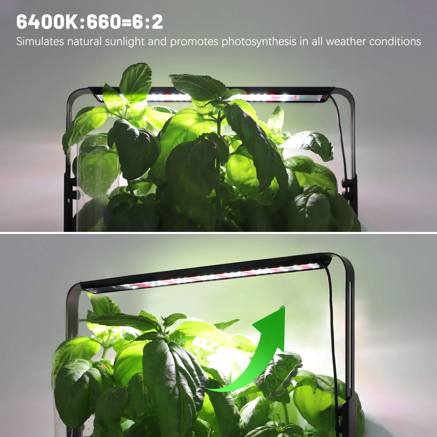 Hydroponics Growing System 11 Pods Planter Indoor Smart Herb Garden with 16W LED Grow Lights