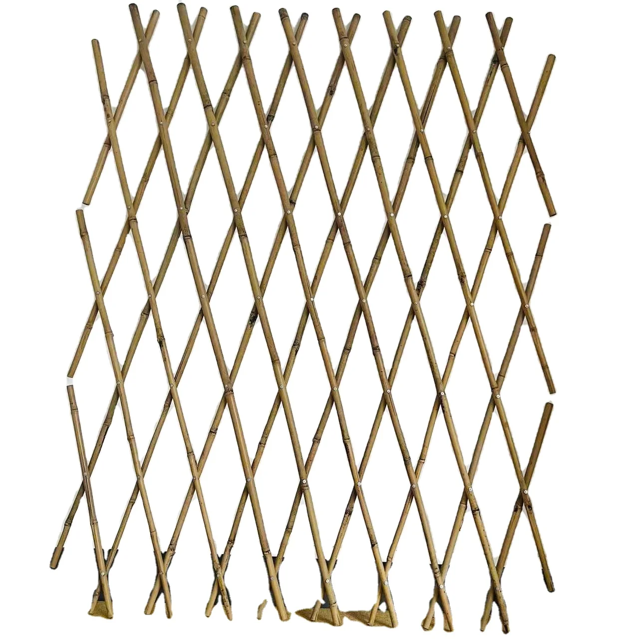 fence rose plant climbing vine bamboo flower bracket garden bamboo pole balcony telescopic bamboo