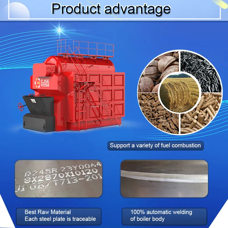 CJSE automatic biomass fired chain grate steam boiler for food processing