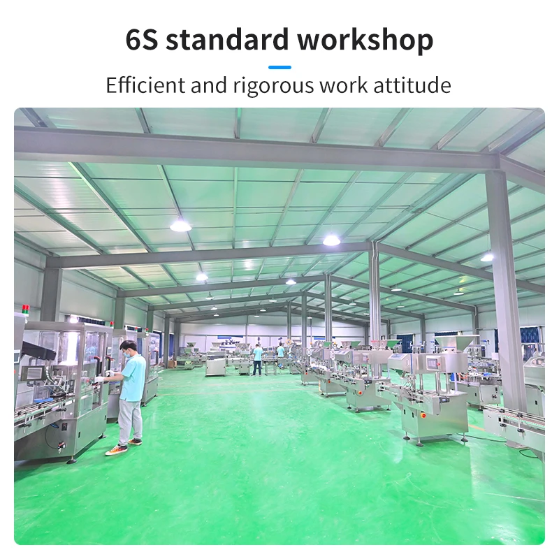 Rq-Dsl-16 Automatic Vibration Sensor Capsules Counter Capsule Pill Counting And Bottling Machine Price