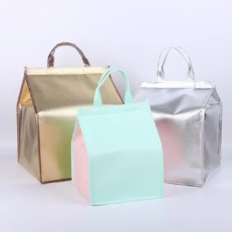 Wholesale Fashionable Durable Pouch Tote Promotional Cake Food Insulated Pp Non Woven Cooler Bag