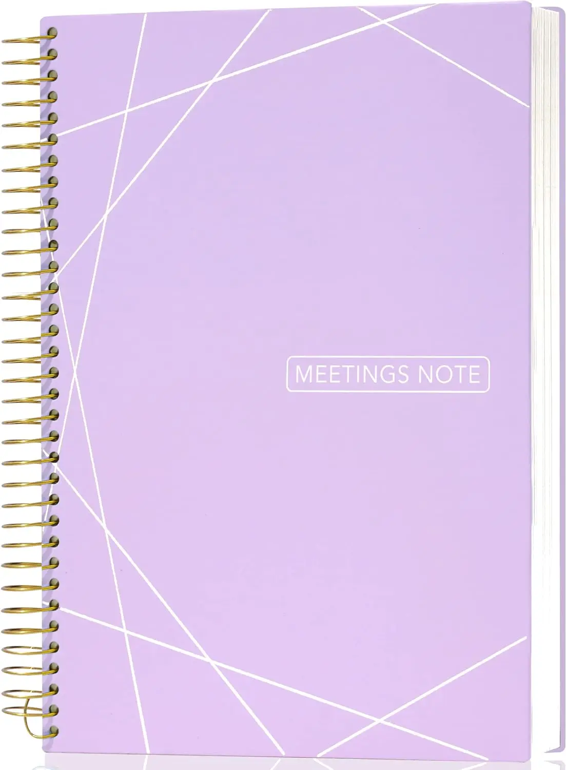 Factory Direct Sale Promotion school thick custom hardcover B5 spiral bound paper notebook