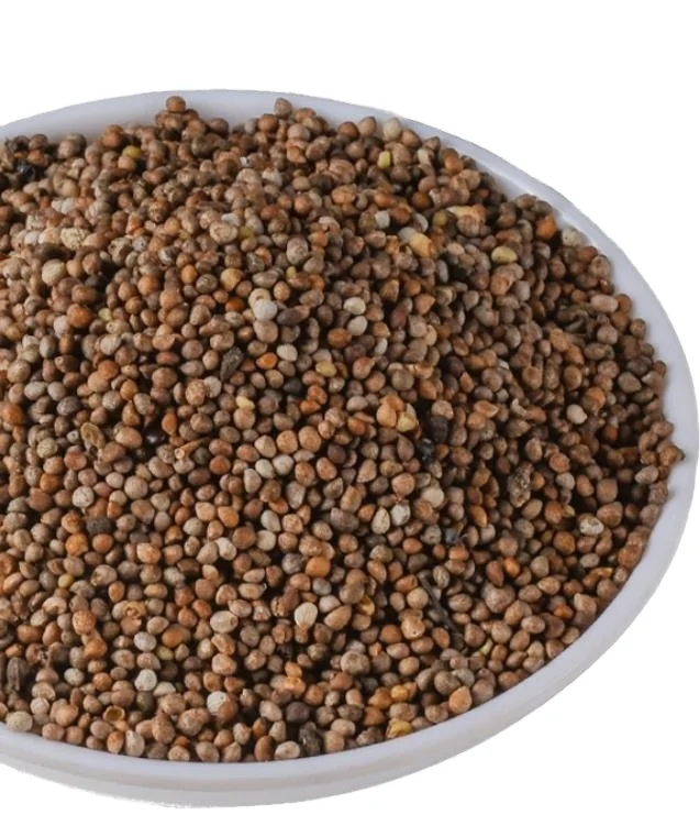 Su zi 100% natural and pure seeds Natural dried Fructus Perillae semen