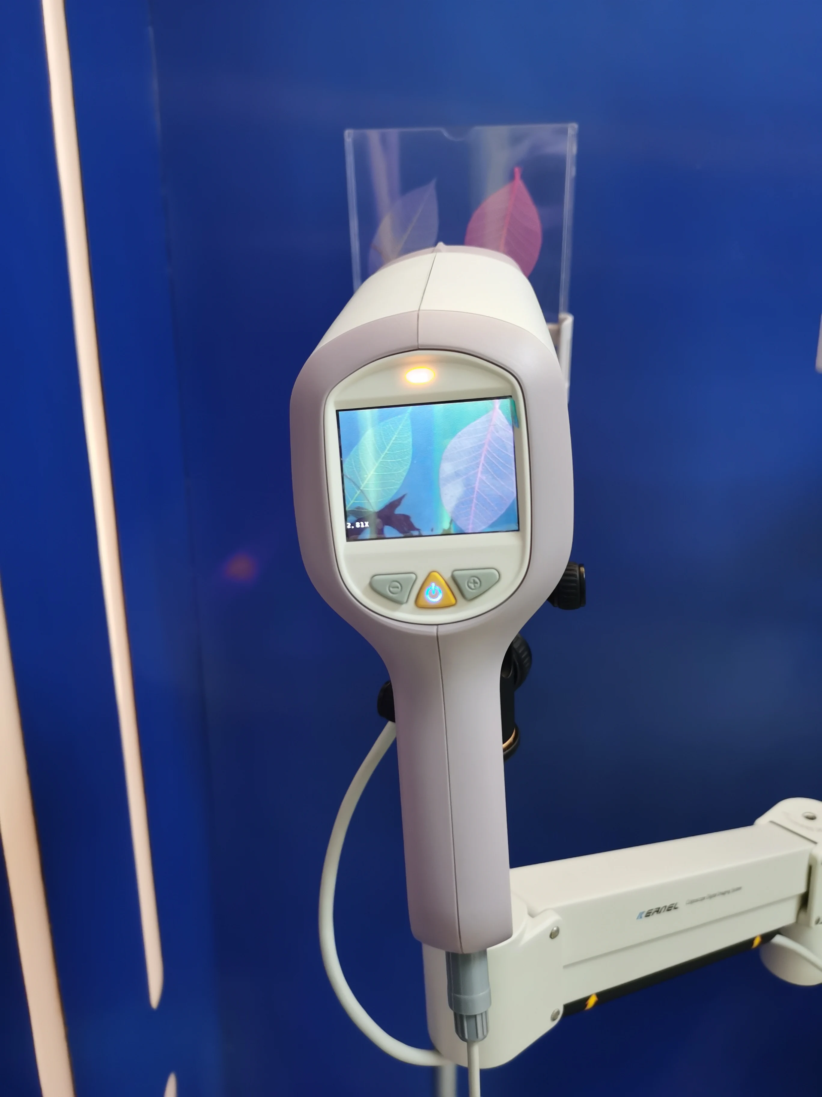  Поставка от производителя 2021 новая камера HD цифровой видеоролик для гинекологии и визуализации вагинальная