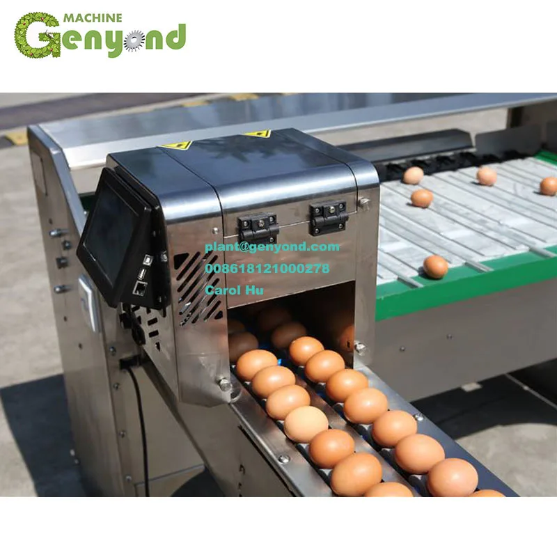 5000 pcs per hour egg grading machine used
