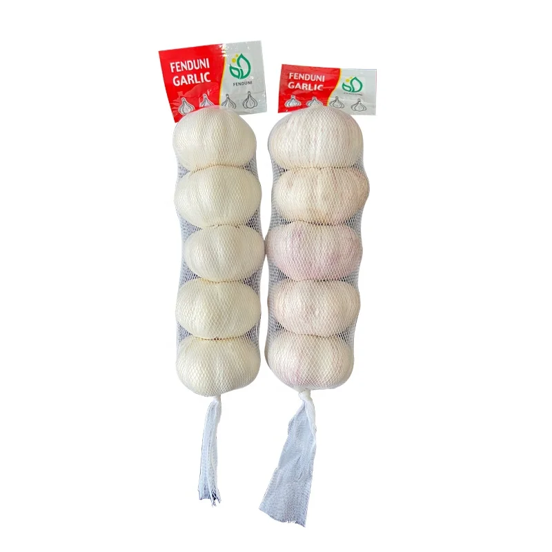 Garlic G1 purple garlic red garlic from china with cheap price