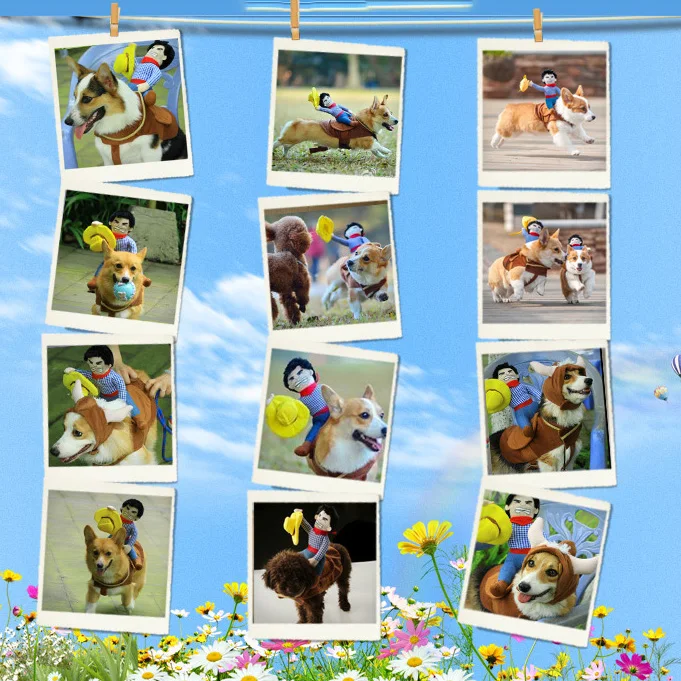 Funny Pet Cat Clothes Cartoon Cowboy Riding Suit Pet Clothing Cospaly Halloween Dog Clothes For Small Medium Large Dog