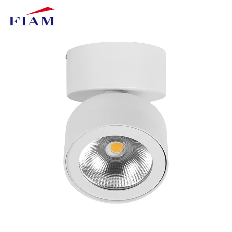 Adjustable downlight Indoor Surface Mounted Ceiling 10w 20w Cob Round Led Down Light