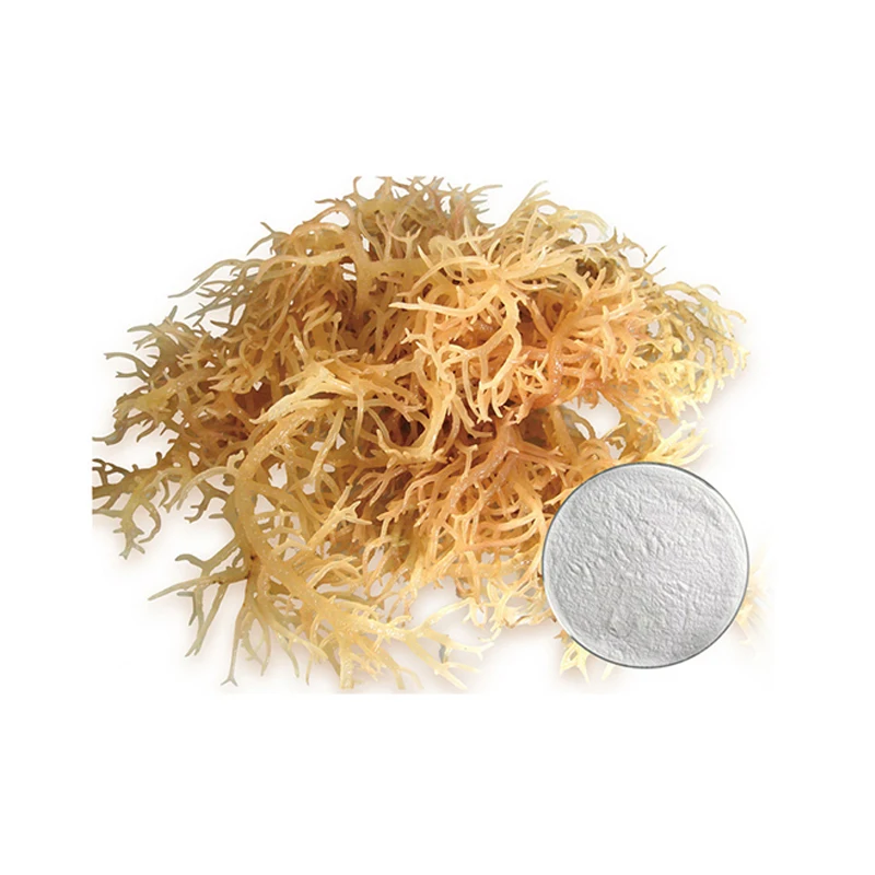 Semi Refined Carrageenan Iota Refined Carrageenan Kappa