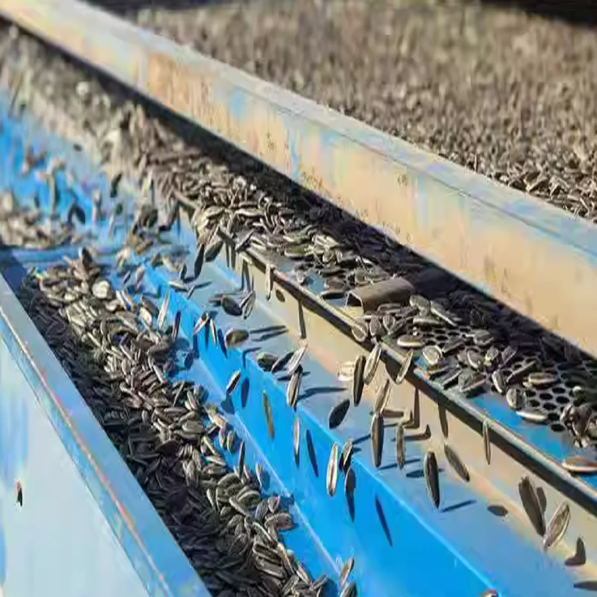 Chinese Factory Wholesale Sunflower Seeds High Quality Sunflower Seed Ton Price